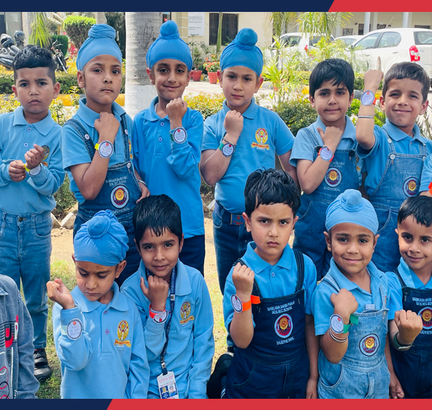 Nankana Sahib Public school Budhewal Nankana Sahib Public school Budhewal